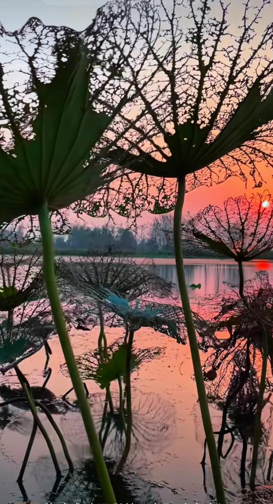 秋深入夜窄巷静，寒鸦枝头栖复惊。
​浊酒三杯街头醉，归来已是满天星。
​懵懂不知