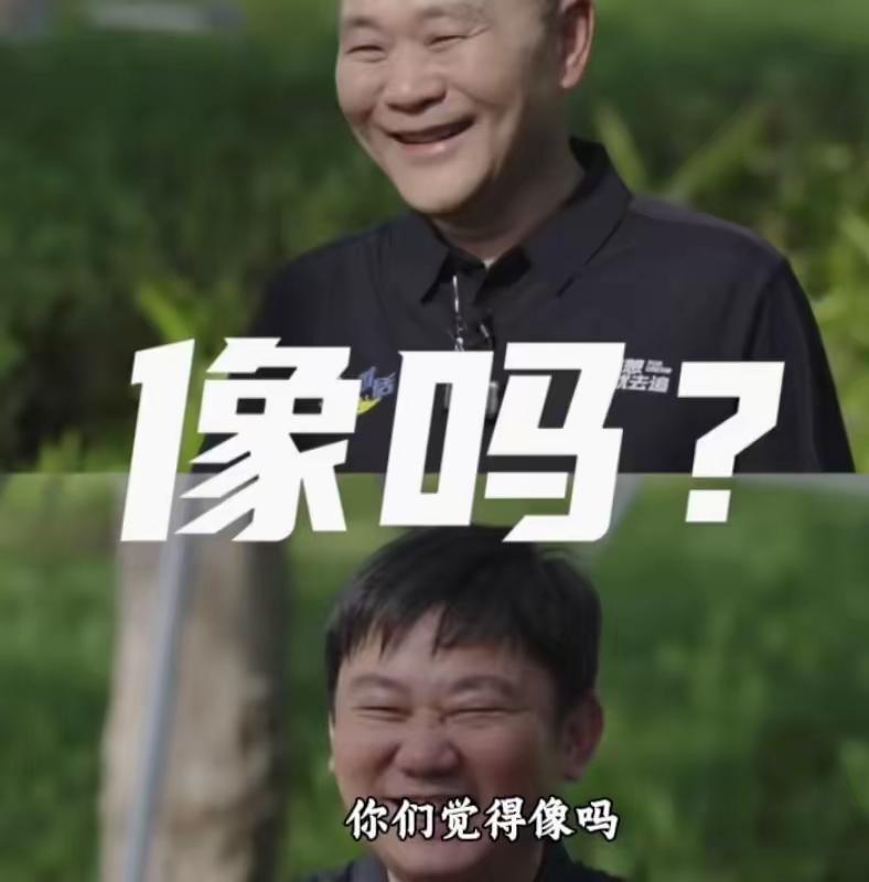 还真有点像，笑起来都是一脸的温和