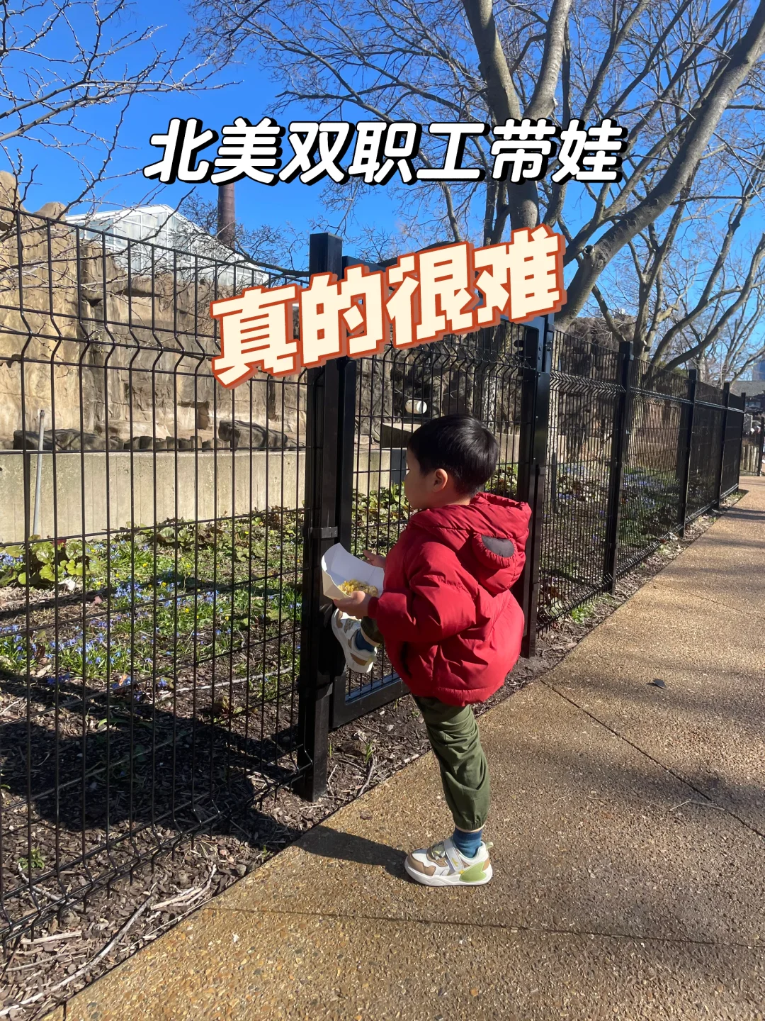 北美双职工如何带娃，好像都是无解选项😥
