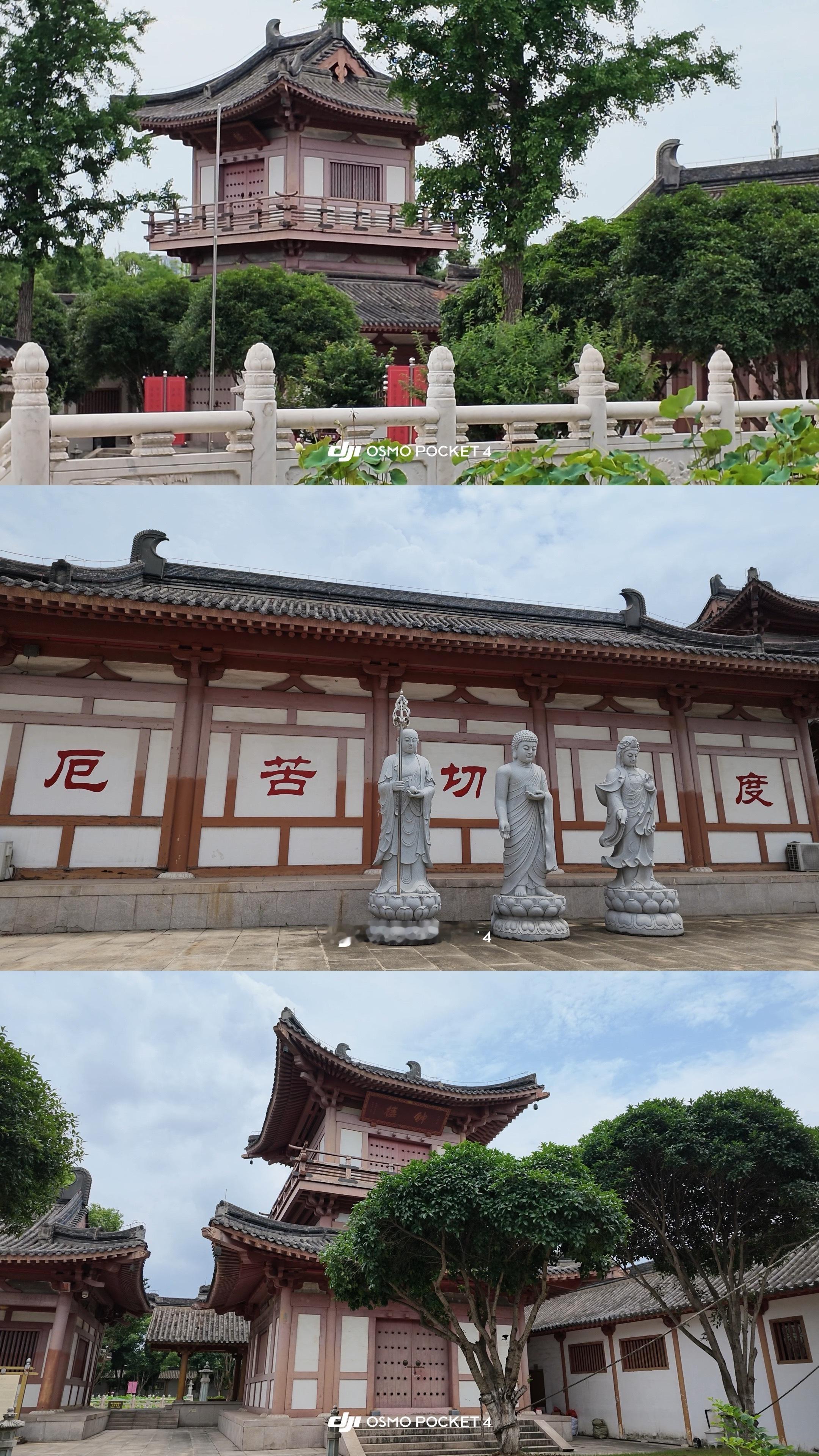 常州宝林禅寺，这里有世界最高的室内观音像，高达39.9米，仰头而掉帽的程度，很是