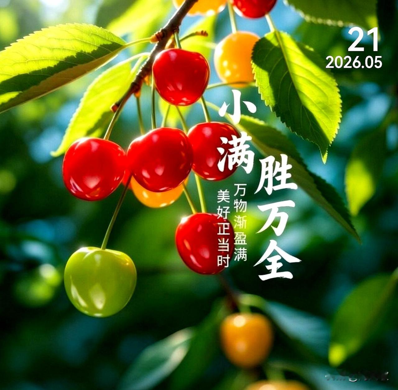 小满时节，愿我们顺应时节，静心度日。心怀知足，不贪浮华，不慕喧嚣。在浅夏清风里沉