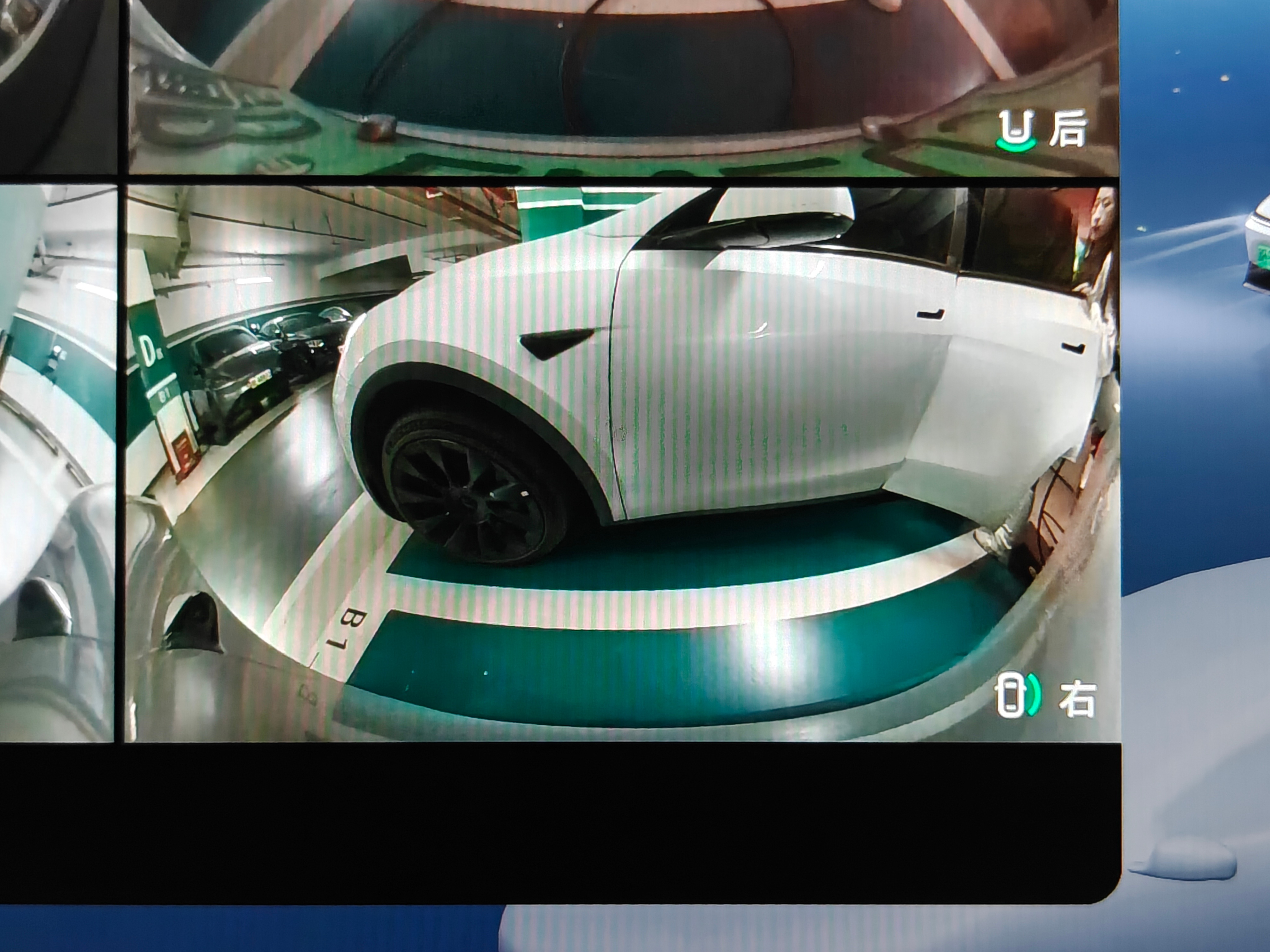 早上好，又被开门杀了上一比赔偿刚到账 