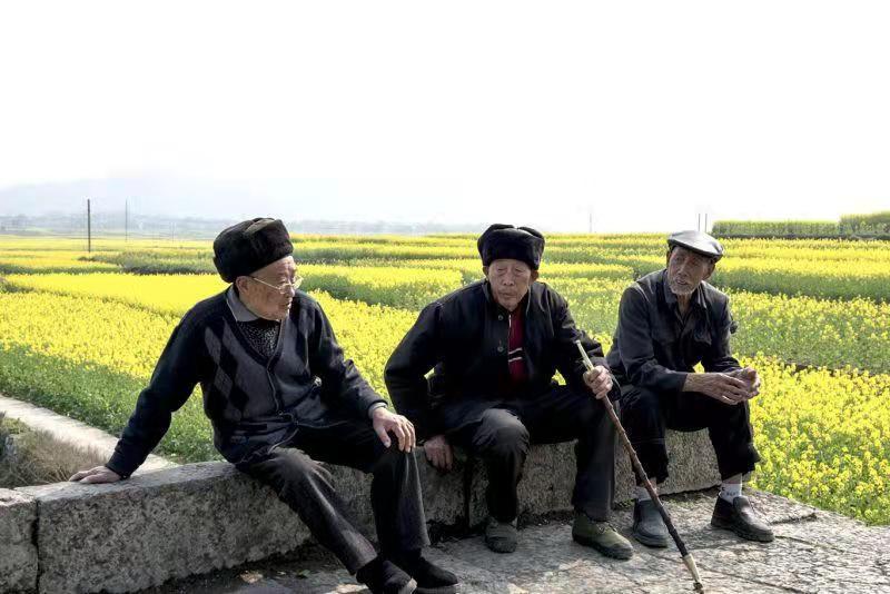 扶贫这条路上，八年间，阿里助售了价值1万亿的农产品，去年，阿里帮助832个曾经的