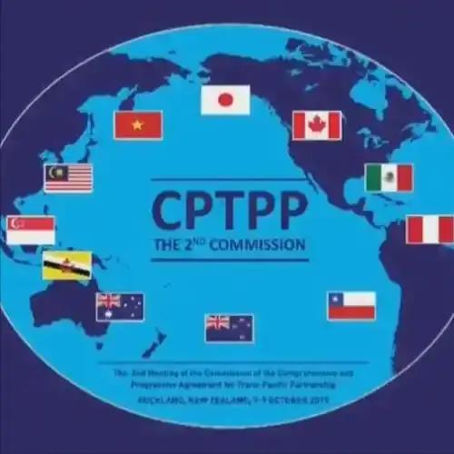 韩国将申请加入CPTPP，中国还需要多久呀
CPTPP全程为“全面与进步跨太平洋