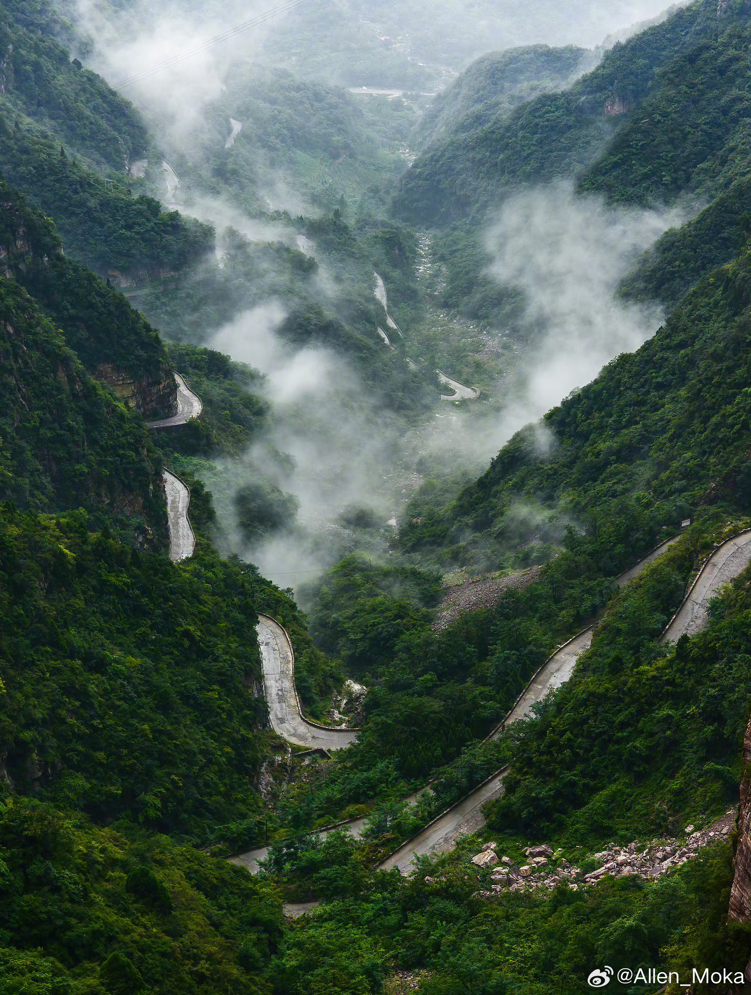 壁纸 山路九曲，白雾漫山谷，藏着山野独有的静谧。 
