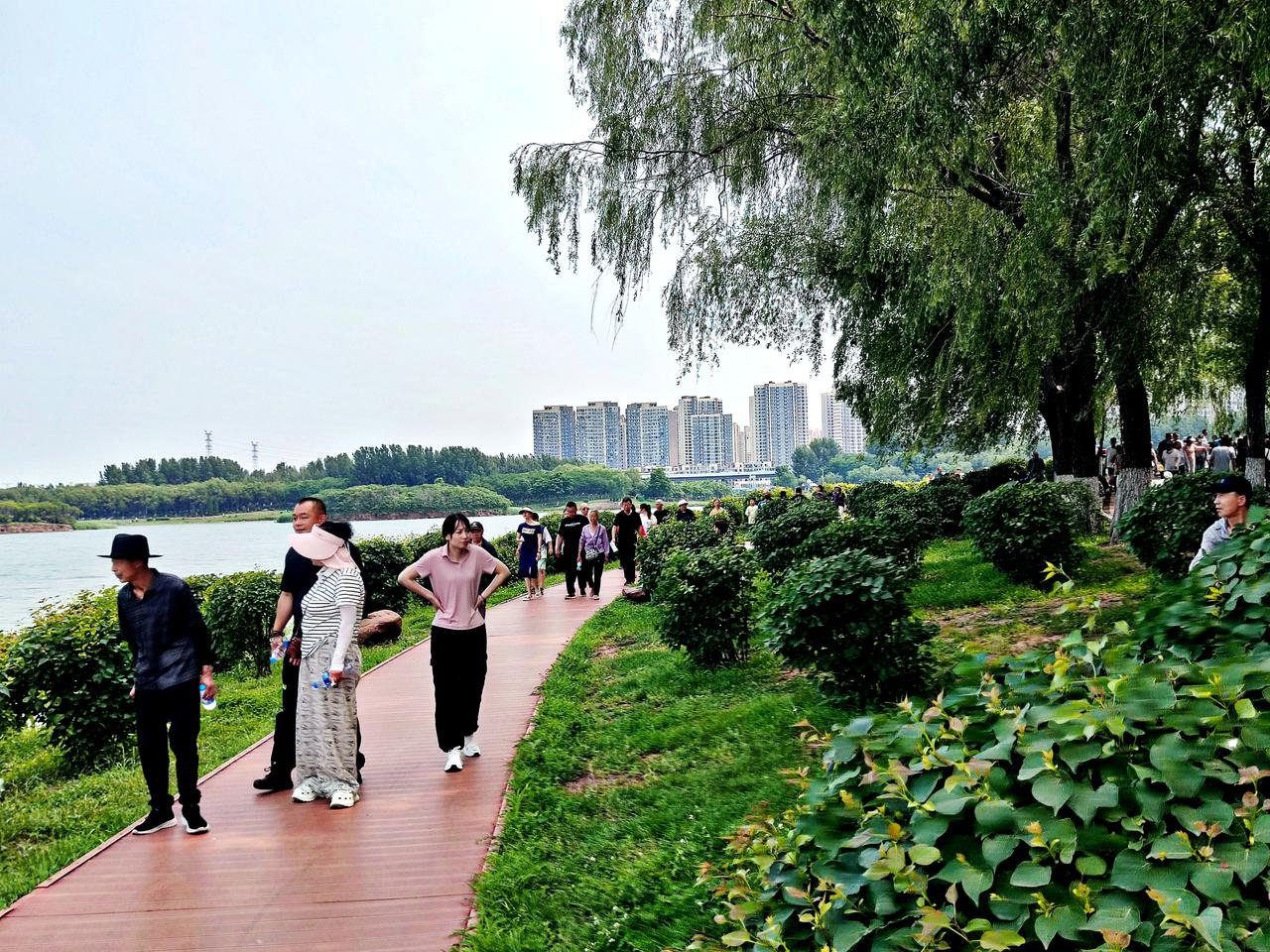 丁香湖夏日风光   
   沈阳丁香湖公园是市内最大人工湖，夏日时节，水清树绿，