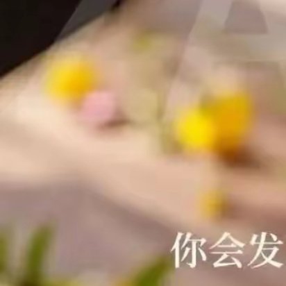 不必羡慕他人的璀璨，你自有独特的光芒。在属于自己的节奏里，把平淡的日子过出诗意，