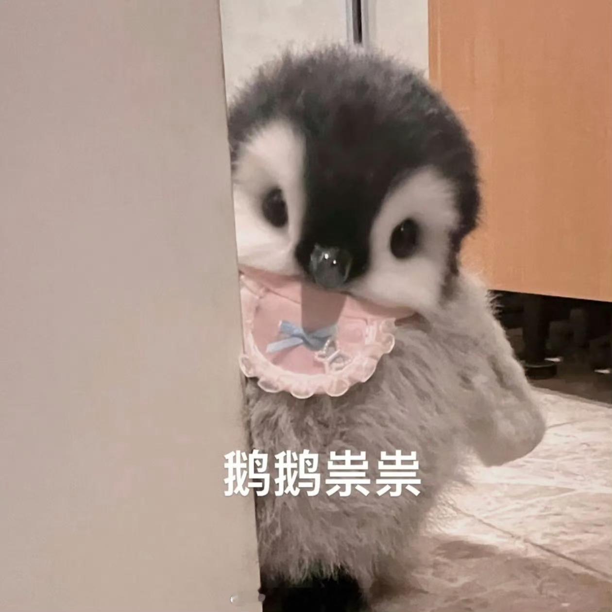 李胜利教授回应国产奶超欧盟标准 哇，这么🐮的么！！安全真的是有保障的！！放心喝