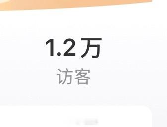 一天2k访客可以吓死我了 