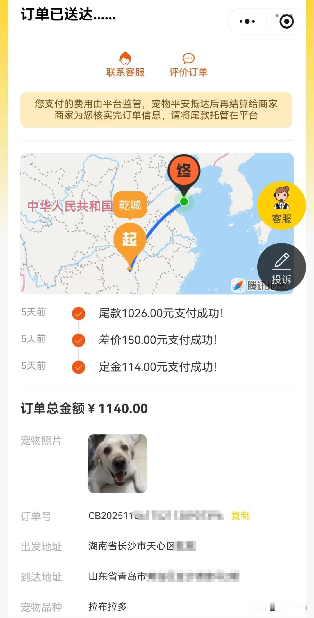 青岛一位女士的宠物狗失踪三个月，不知怎么跑到长沙了，她得知狗的下落后花了1140