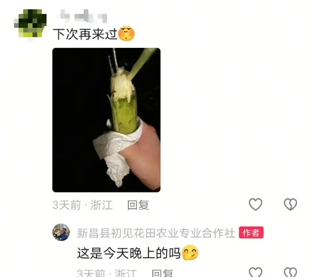 刚好刷到一个热点，笑死我了，浙江绍兴有一块可以吃自助的甘蔗地!
一根18元！
牌