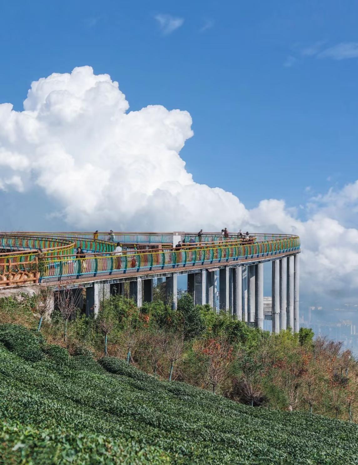 我在成都上春山！！万亩山茶花已经美得爆了！！
周末去哪儿 笔记灵感
成都最近太阳