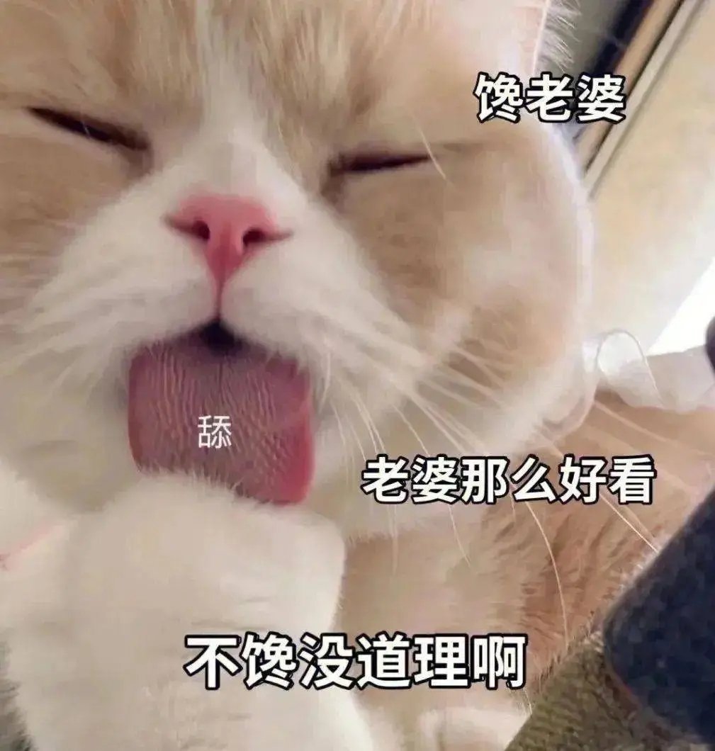 猫猫表情包 