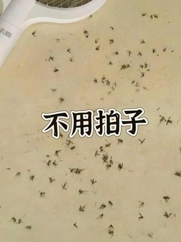 你们敢信？弗朗西斯卡居然把拍子给弄掉了！
对，就是那个德国乒乓球名将，奥运会奖牌