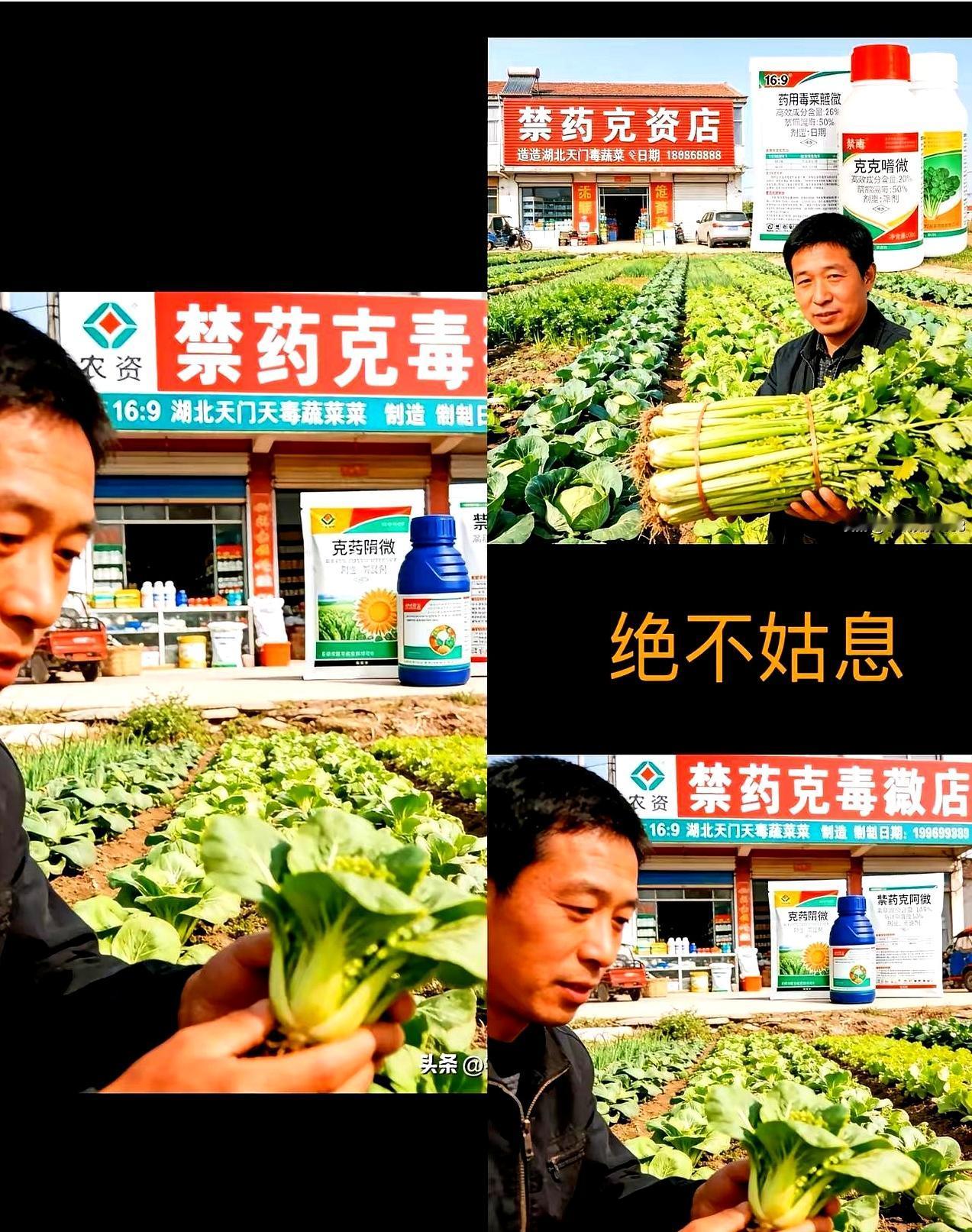 央视前脚刚把盖子揭开，后脚天门那边就炸了窝。

涉事菜农老罗直接被联合调查组传唤