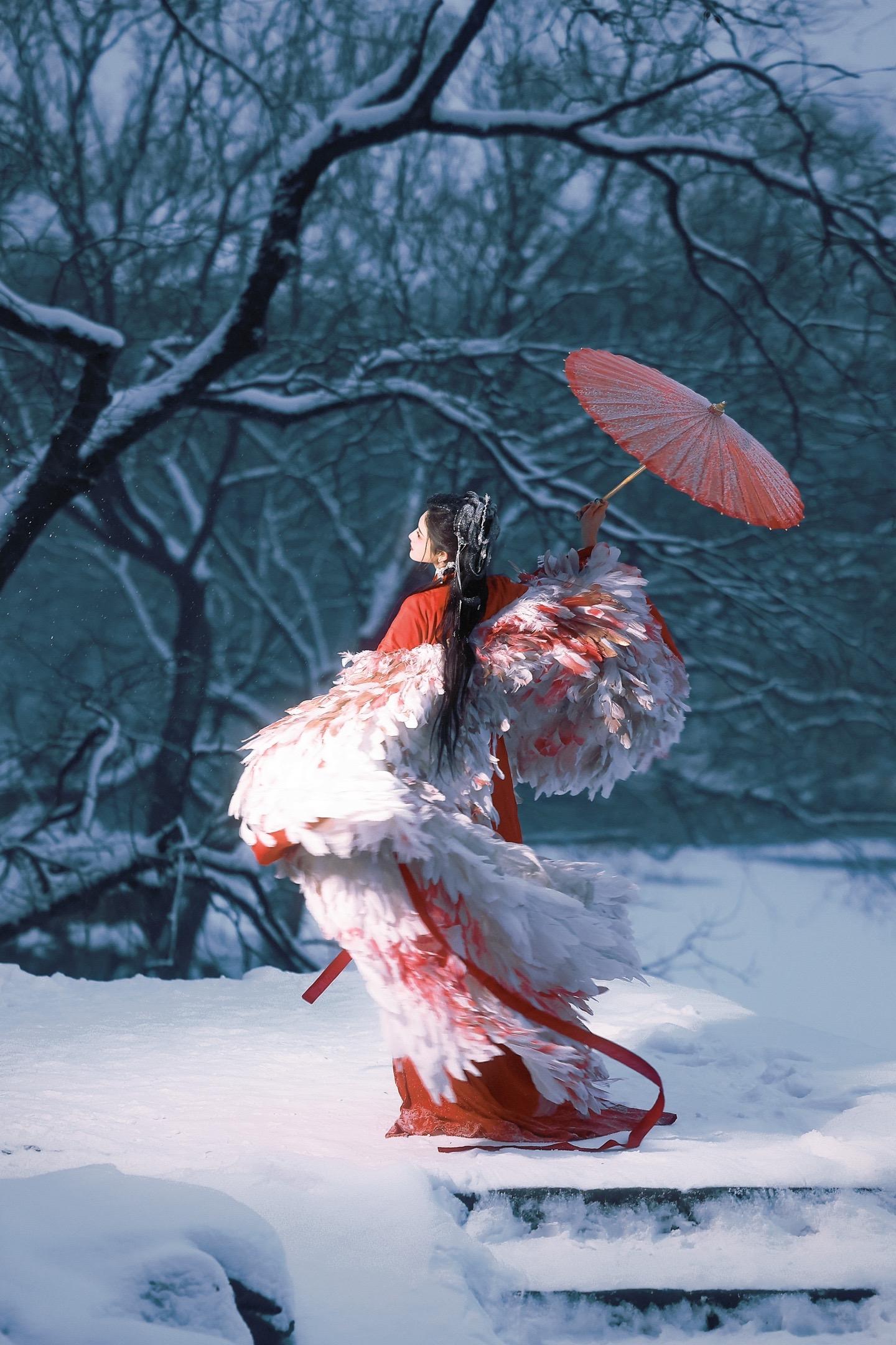 鹤·大雪 | 梦里有时身化鹤，人间无数草。为莹 摄/后：我 今年也在等一场大雪～
