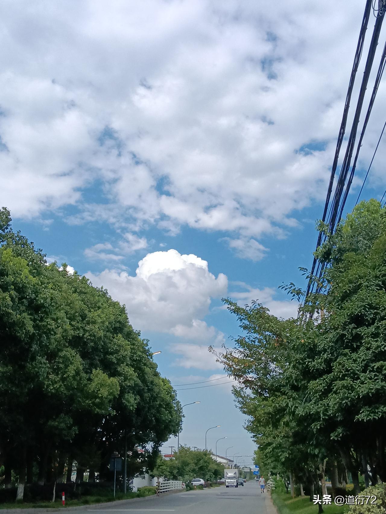 昨天刷到一段视频，聊到宋高宗赵构，为何要选宋太祖的后人来承继大统？内容挺有意思。