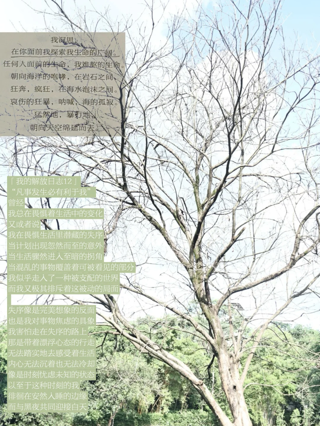 观察，体验，经历，这个我正在活着的人生。