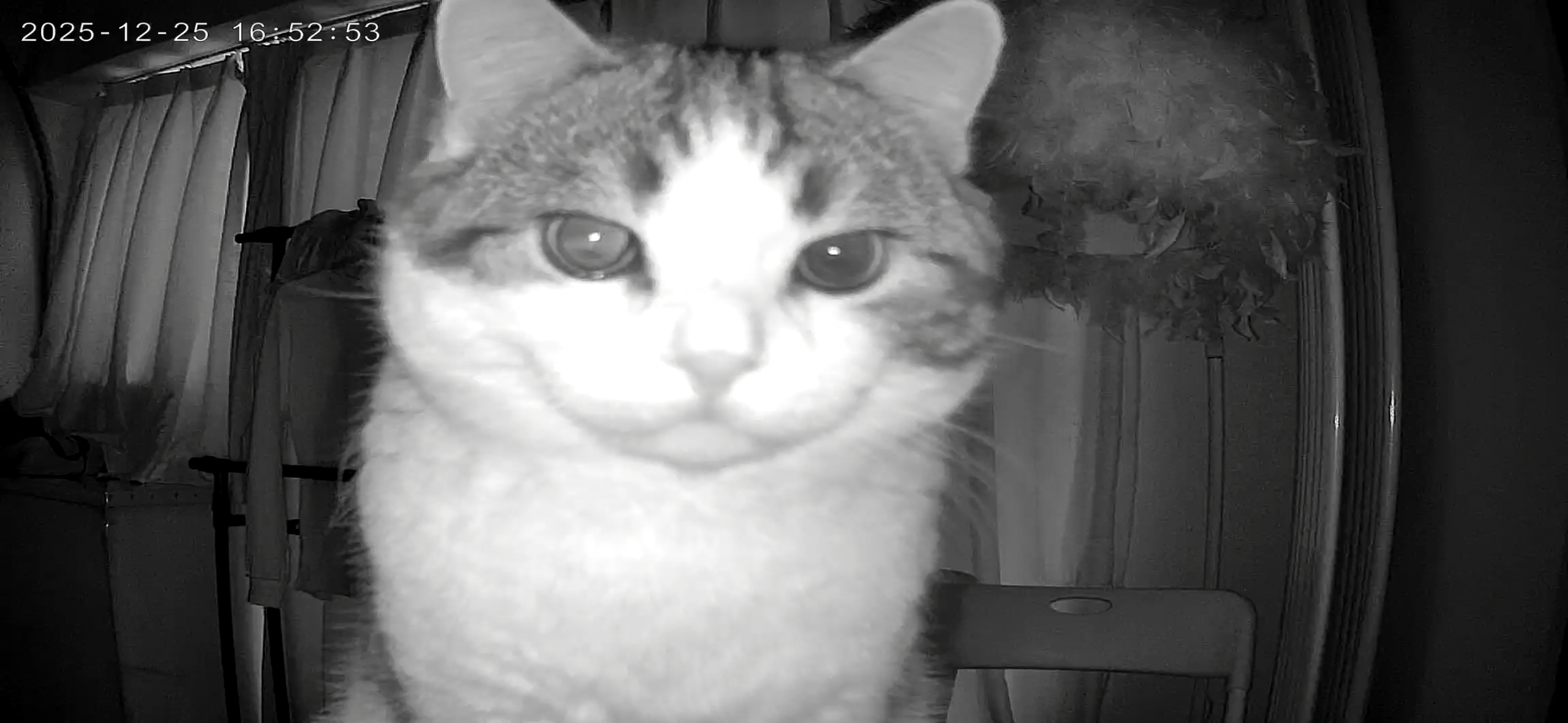 搁那儿一站 像个meme 