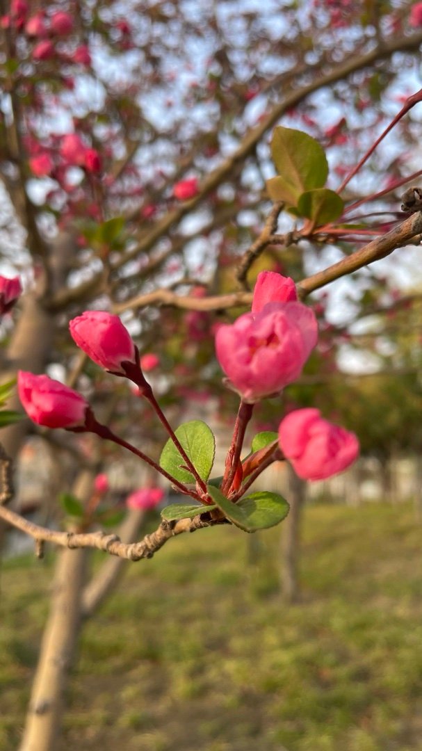 羡慕洒向你的阳光拂过你脸庞的风落在你肩头的雨是那么的空泛而美好 