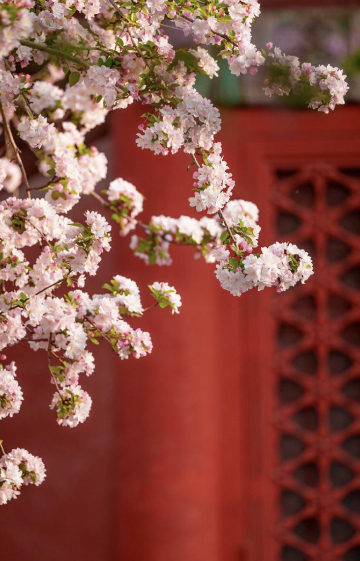 道家有个说法，叫“阳根出阴土”
世人常道母凭子贵，我却说——
子凭母贵，这才是天