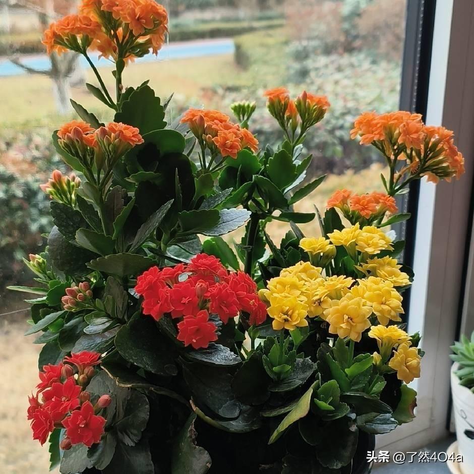 高考志愿填报时如何考虑职业规划填报志愿要以职业方向为核心，先认清自身兴趣、特长，