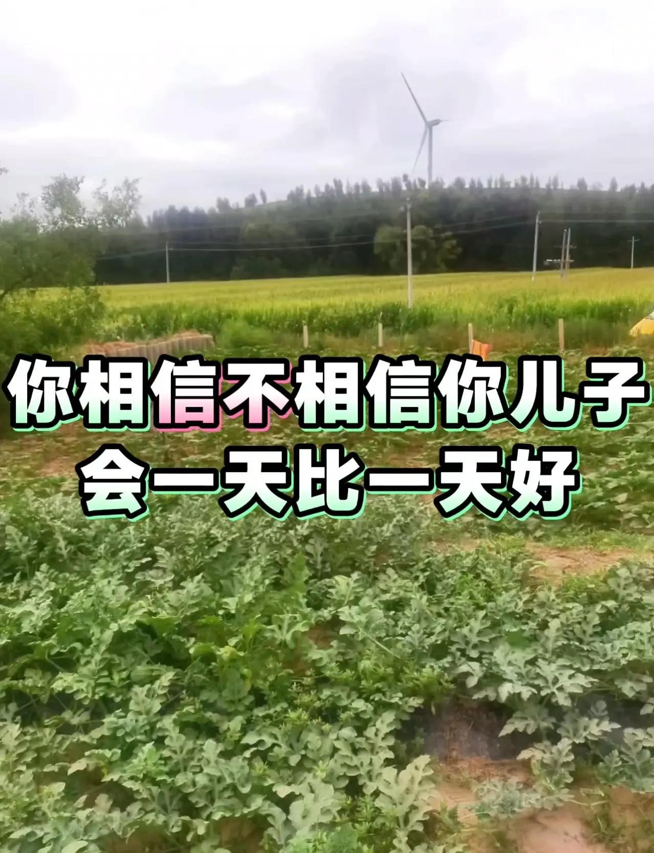 满心期待的绝杀最终落空，马刺没能守住主场、不敌尼克斯系列赛0-2落后年轻总要经历