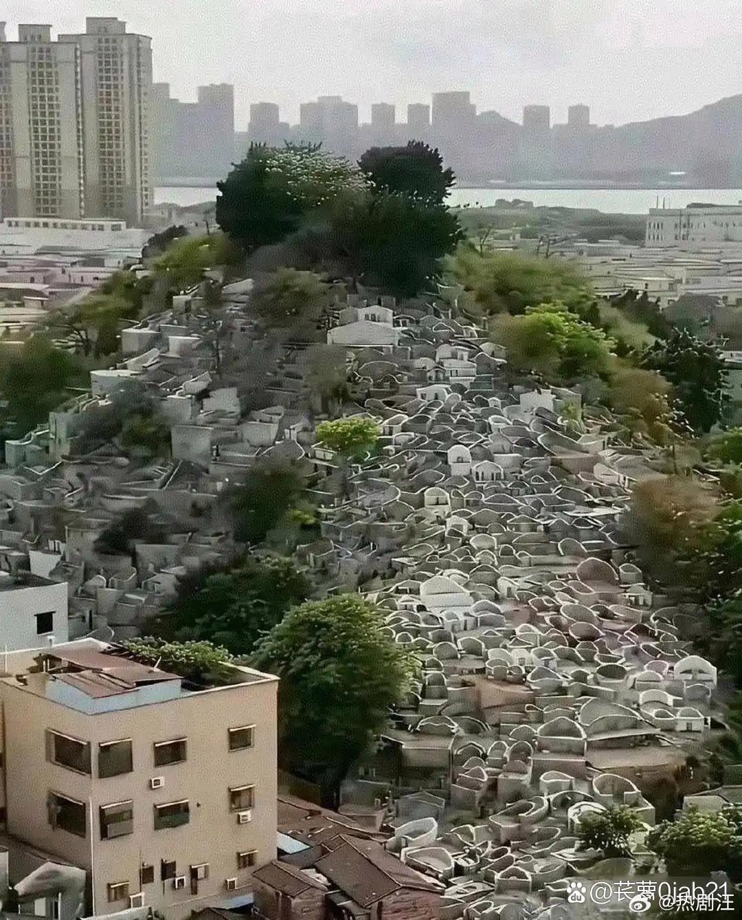 多年以后，这就是土葬的后果吧！ 