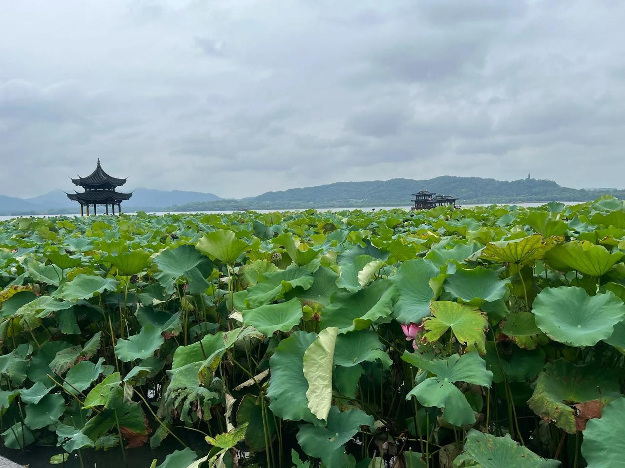 浙江杭州、小桃姐姐的旅行日记：
  今天带上小姨坐地铁游杭州，西湖天地逛好两个人