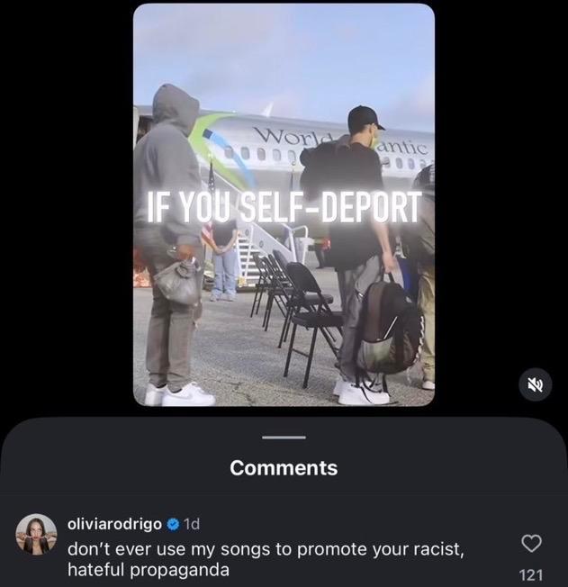 奥利维亚的歌，不是ICE的背景音乐。
她唱的是青春的痛，他们拿去当执法的BGM。