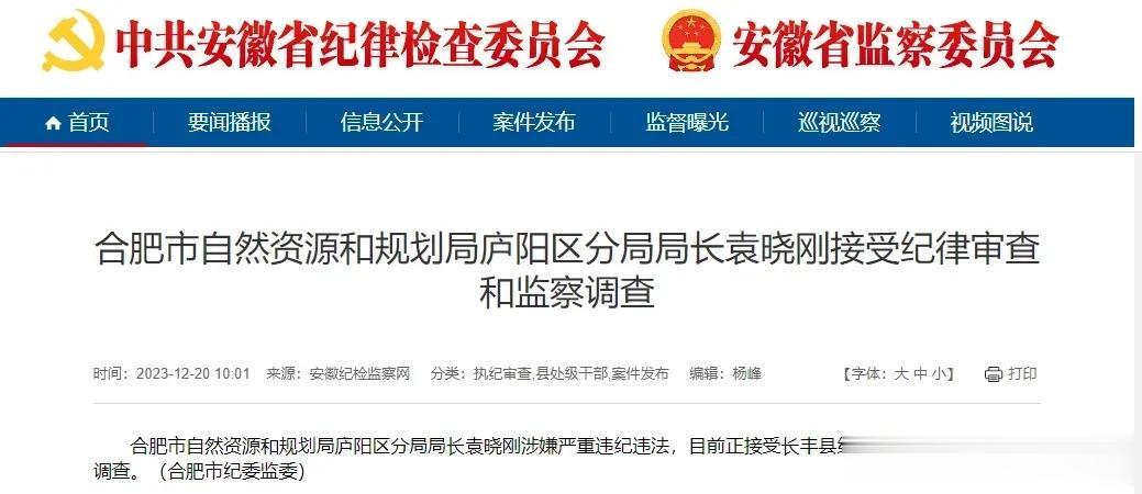 合肥庐阳区一局长被查