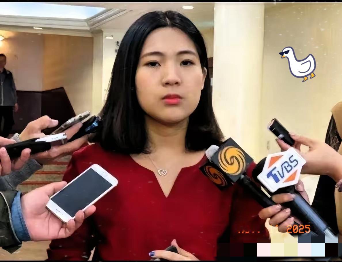 徐巧芯这话说到点子上了！吴石哪里是叛变，分明是乱世里守大义的真勇者。
 
用三国