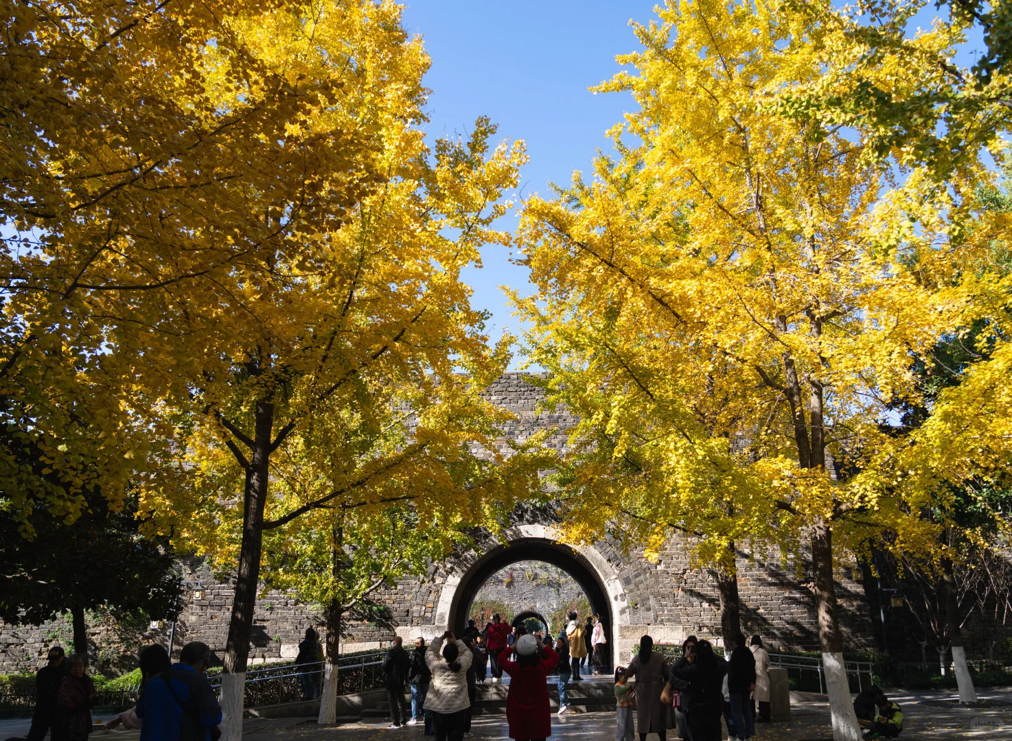 石城门里的金陵秋景