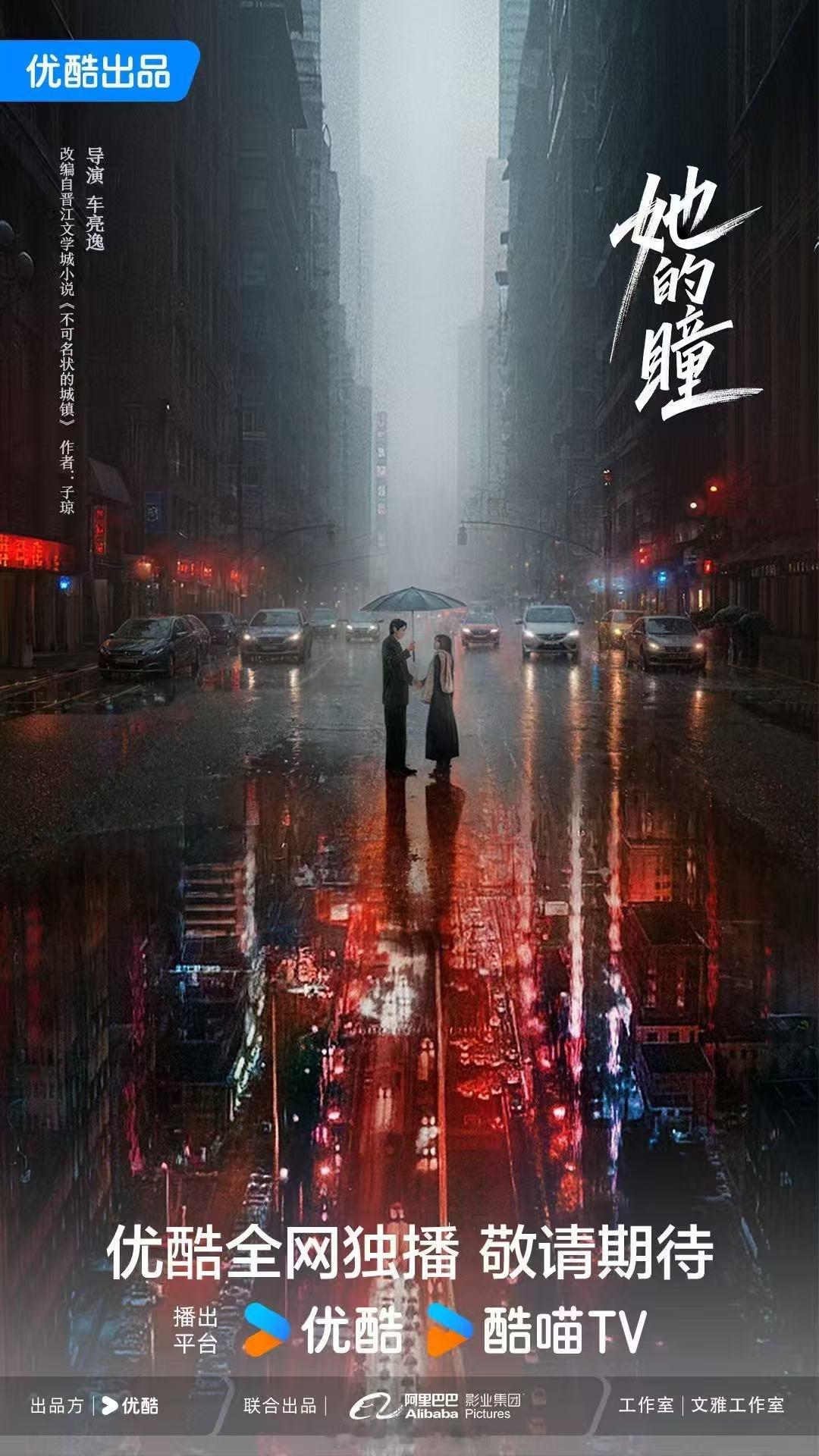 电视剧《她的瞳》 导演：车亮逸《爱你》《失笑》剧本总监：方羌羌编剧：常佳改编自小