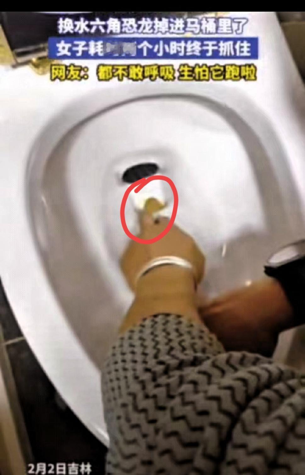 不忍直视！吉林一女子上完厕所，直接将手伸进马桶，一扣就是2小时，原来她是在救不慎