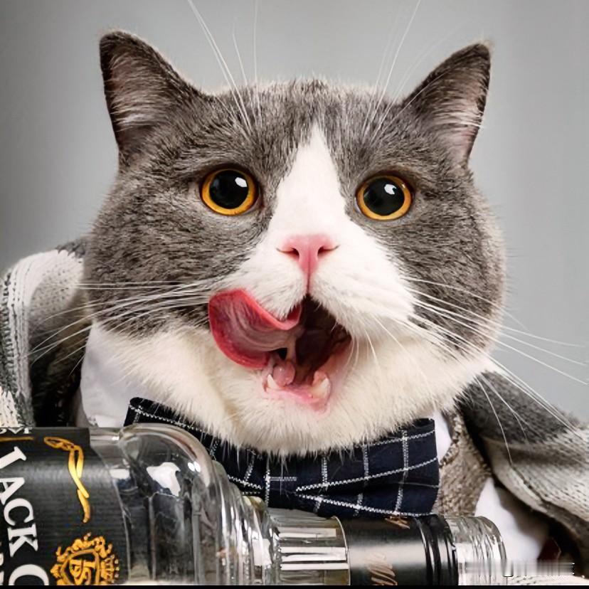 抱着小猫来参加面试！
这个性：可以被尊重，但，真接不住！

电话面试小姑娘，约好