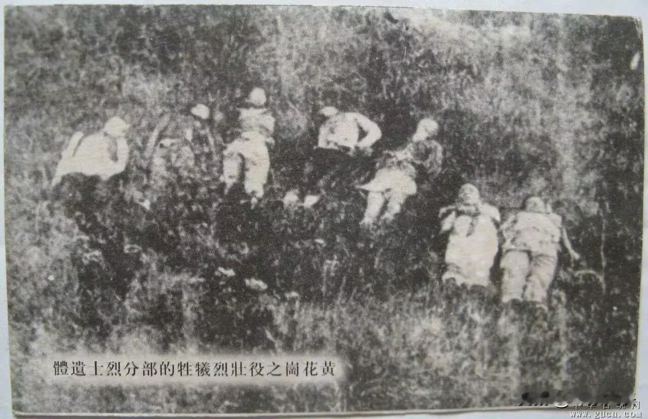 这是一张1911年黄花岗起义者牺牲时留下的老照片，镜头下，这些就义的勇士，横七竖