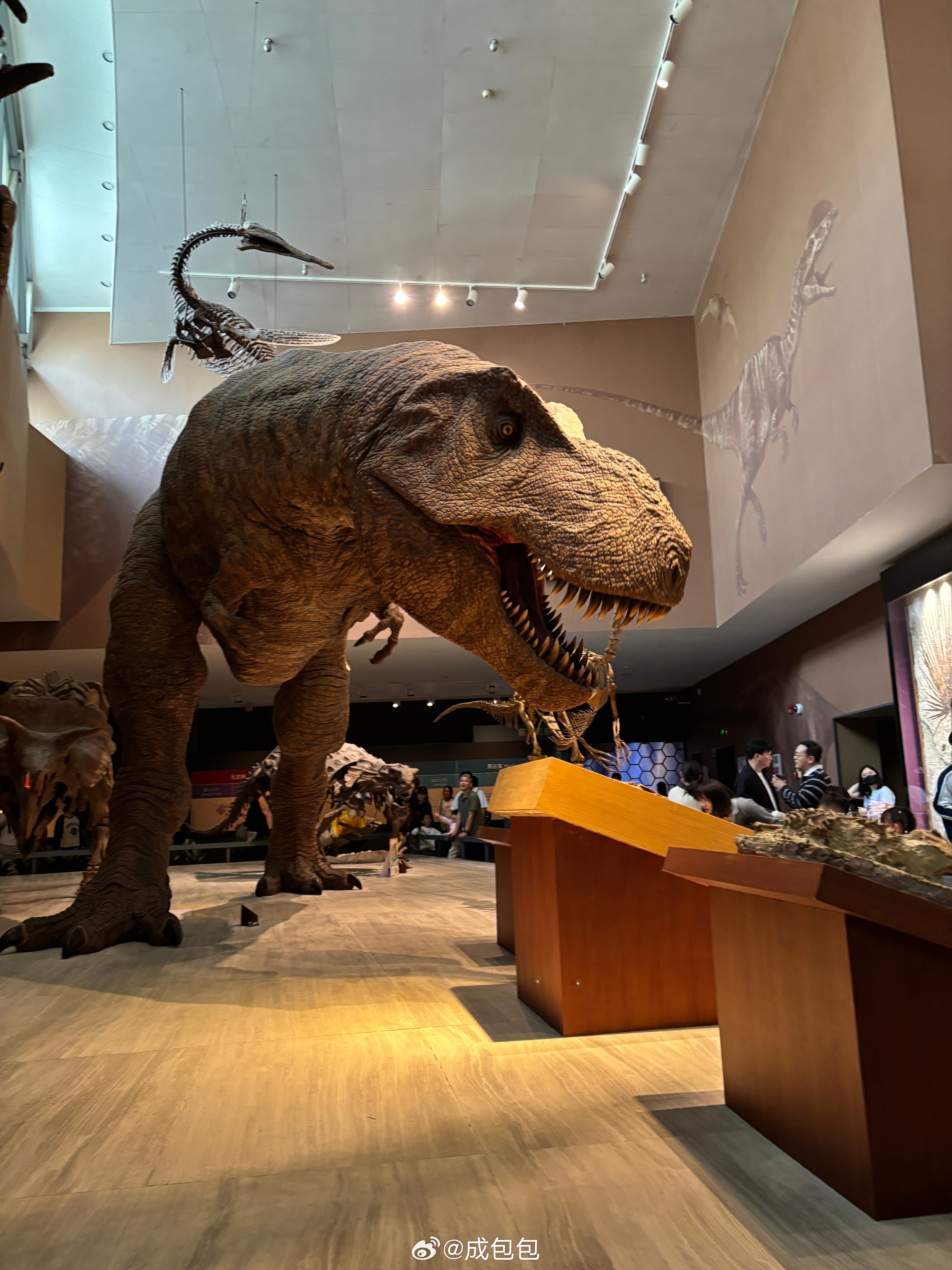 人山人海 上海·上海自然博物馆