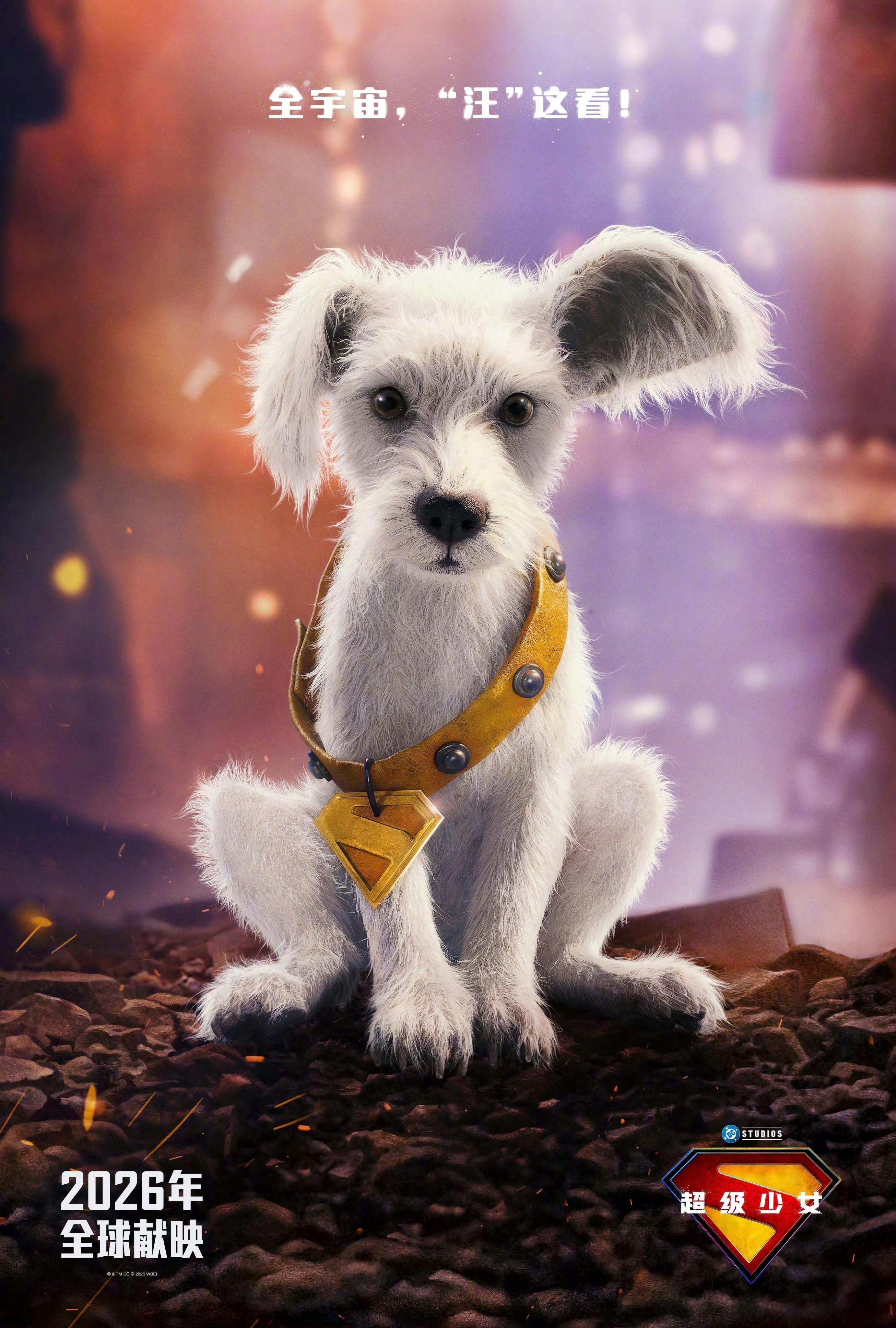 DC新作《超级少女》发布最新海报！！将于2026年6月26日北美上映！！本片改编