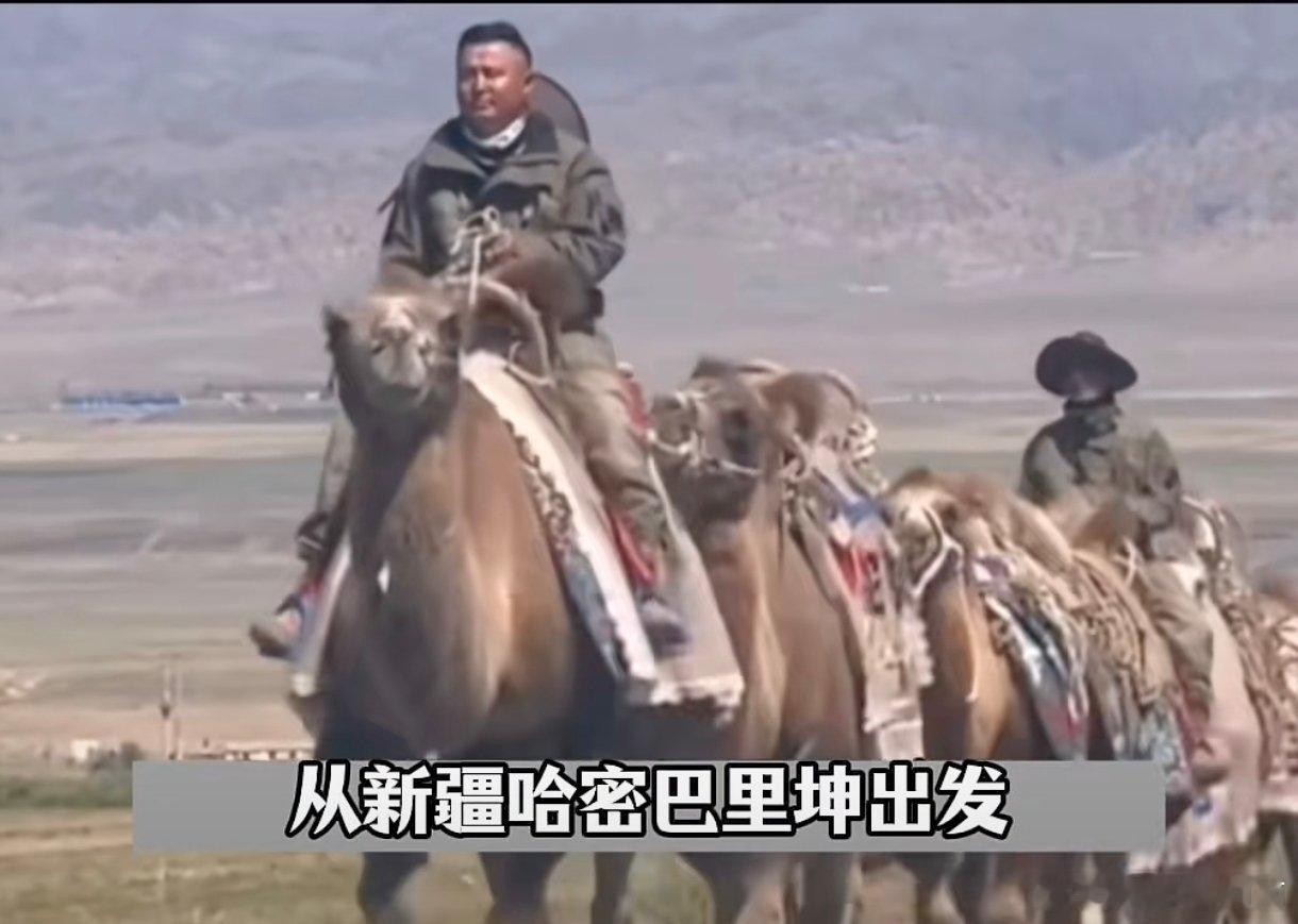 洛阳头条【东天山骆驼队重走丝路的的意义】千年驼铃穿破黄沙，丝路“三通三绝”的跌宕