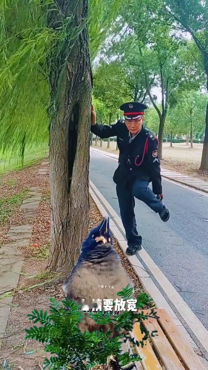 钱是个王八蛋，花完了再去赚，该吃就吃，该穿穿，心情要放宽，也就三万天，烦恼忧愁放