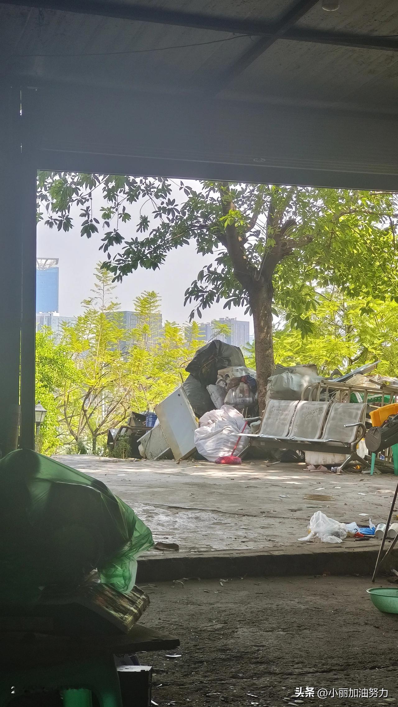 大家好我是一位白血病病人，今年第四年时间，学校又放假三天，

今天至女和女儿又相