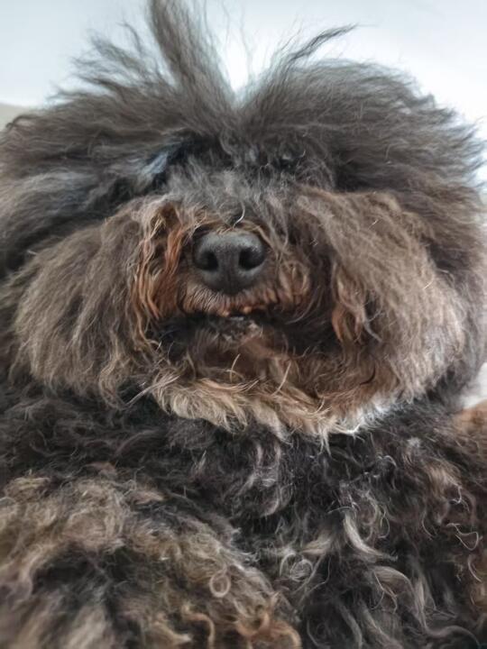 人，假期了，要不要来找我玩？