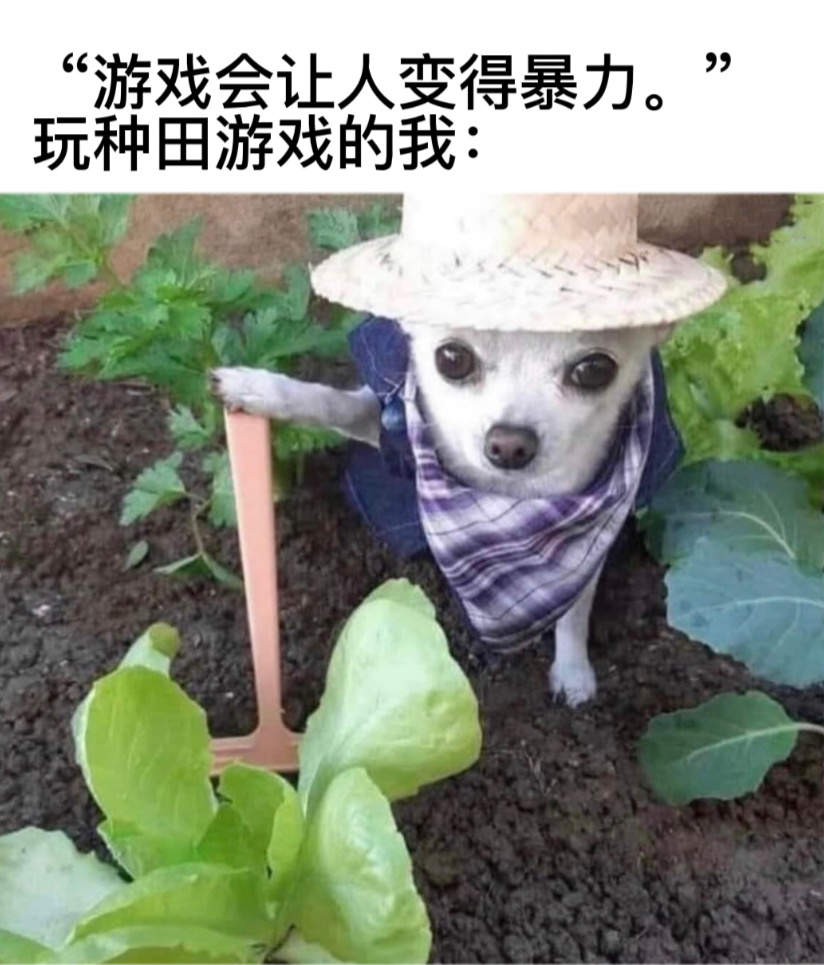 种田永远的神#今日memes# //#v笑年度大赏# ​​​