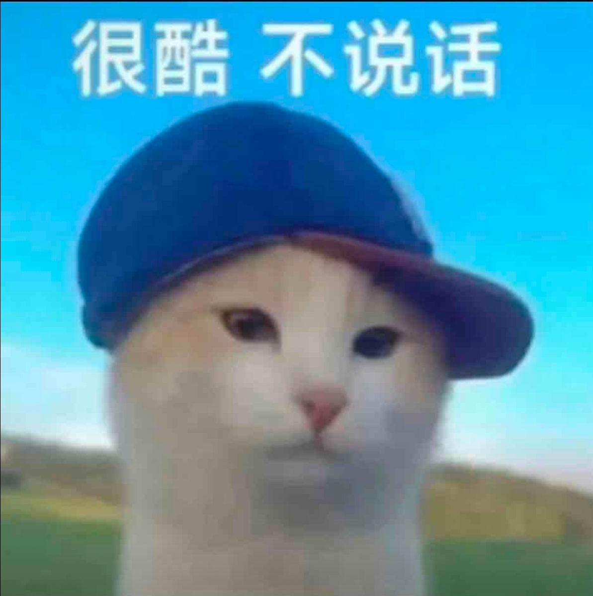刘要闻： 