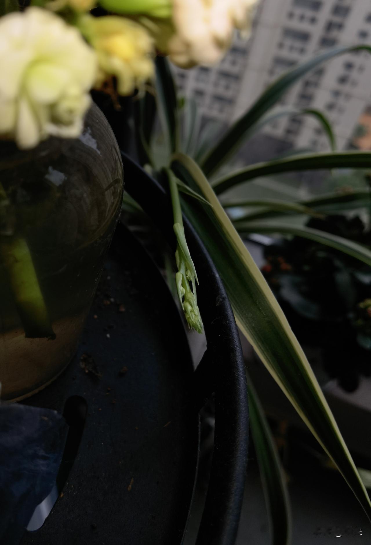 “不幸运的事情”发生的频率太高了，
办公室的姐妹们已经放弃科学，
开始考虑玄学了