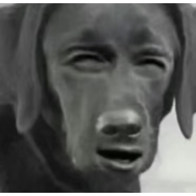 分享图片 ​​​