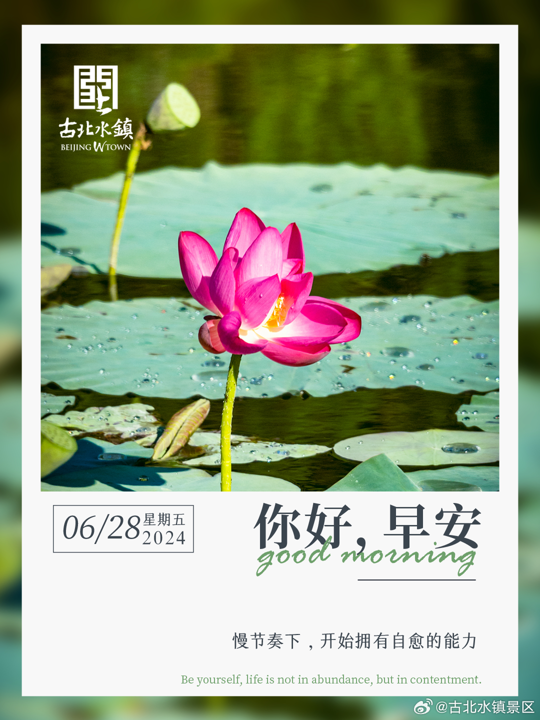 做你自己，生活不在富足，而在满足早安，宝子们~#很高兴在古北水镇认识你# #古北