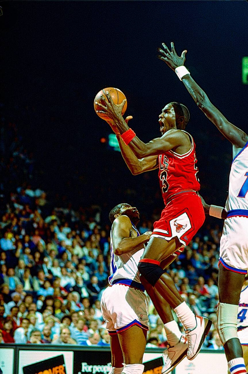 Michael Jordan 2 Low 