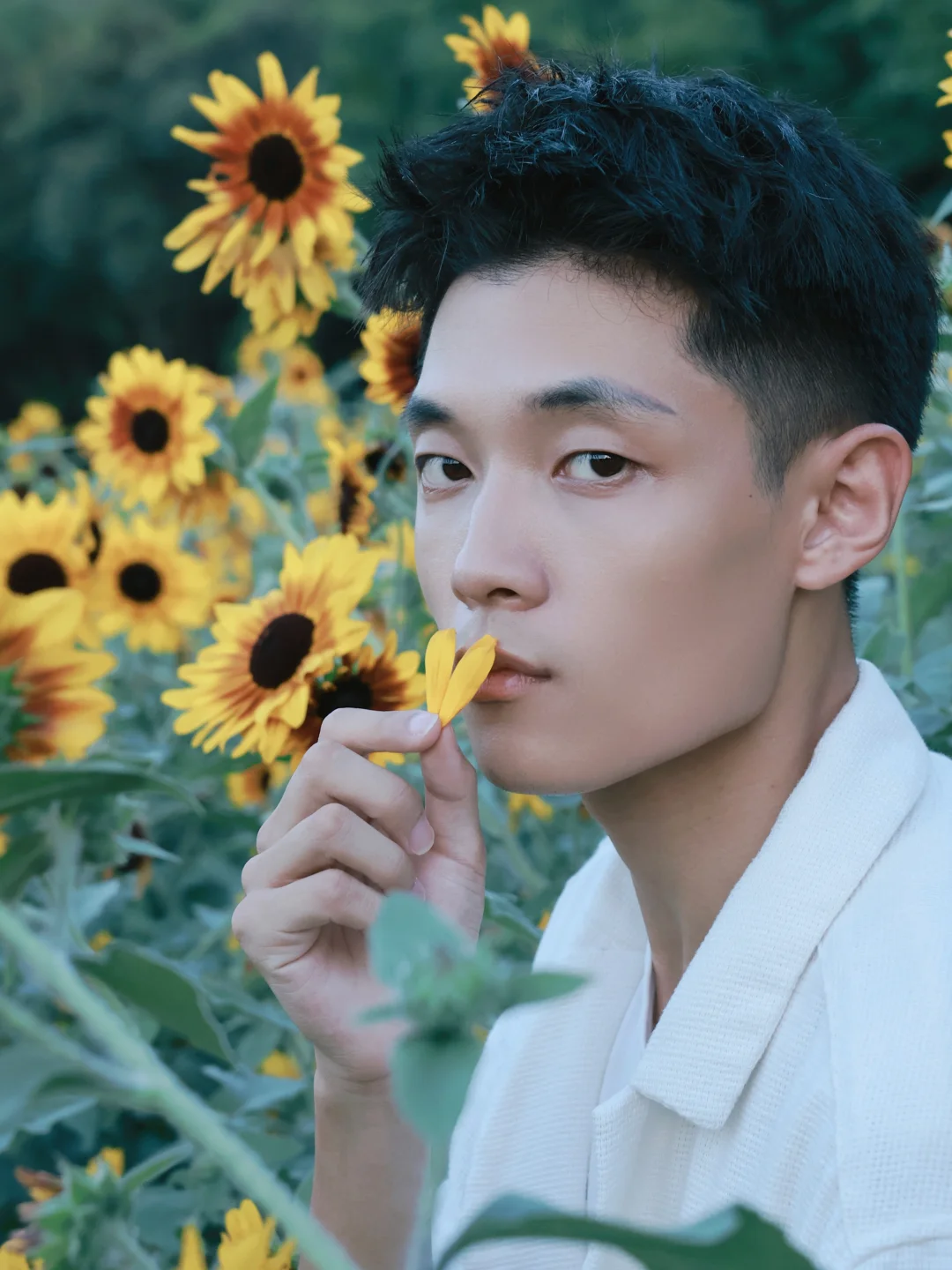 男个男孩都该向阳而生🌻向日葵拍出日系感